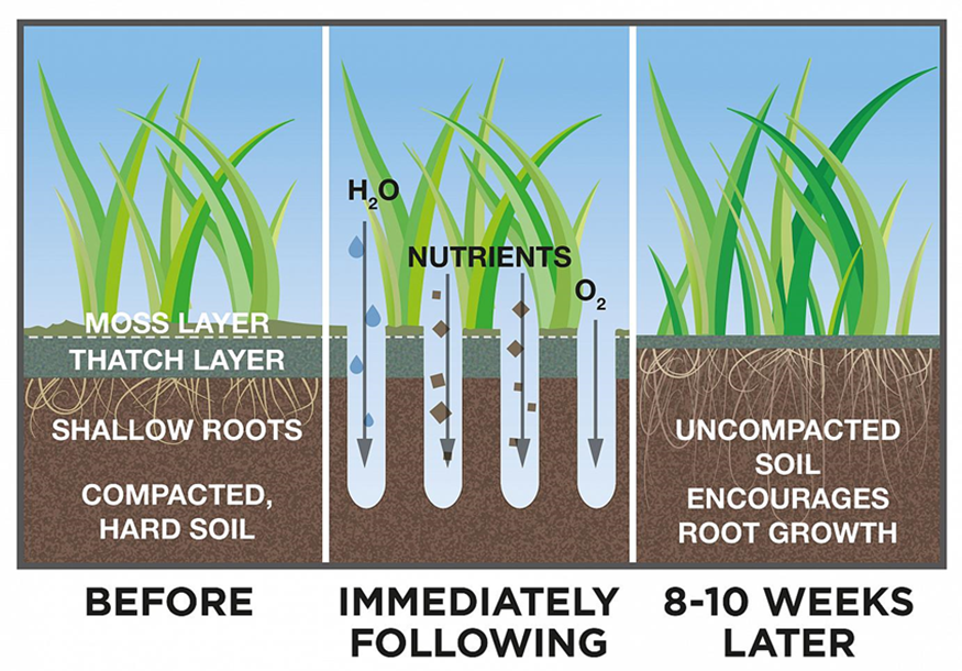 premi-air renovation lawn treatment
